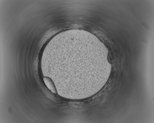X0000112410242200909110955