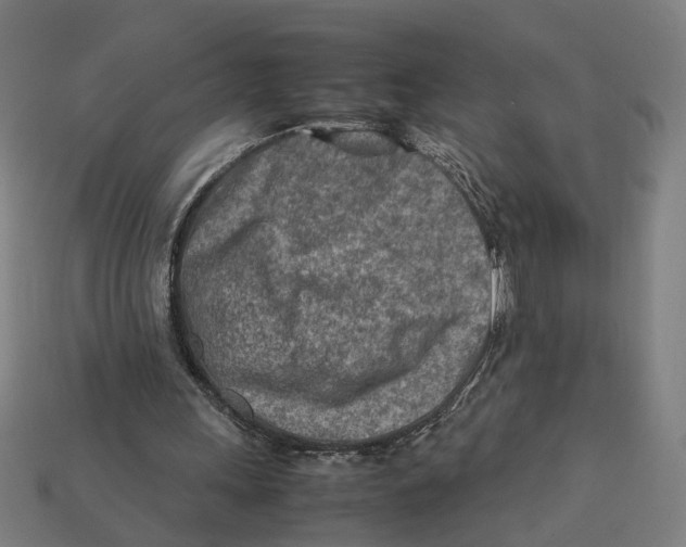 X0000112410243200909110955