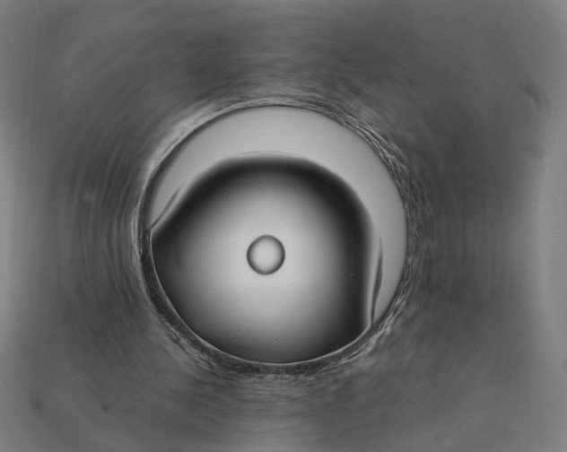 X0000112410244200909110955
