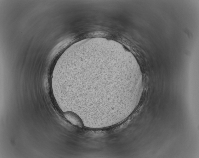 X0000112410245200909110955