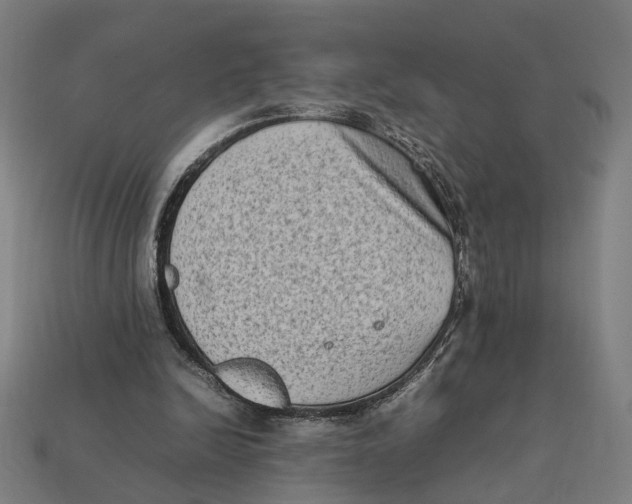 X0000112410246200909110955