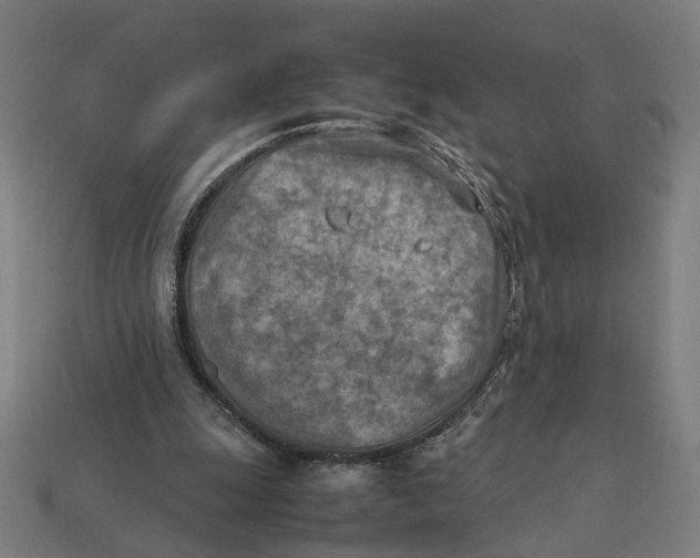 X0000112410247200909110955