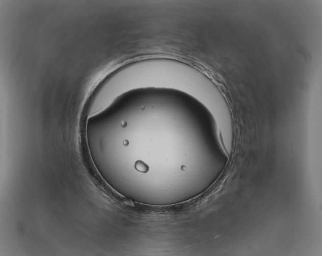 X0000112410248200909110956