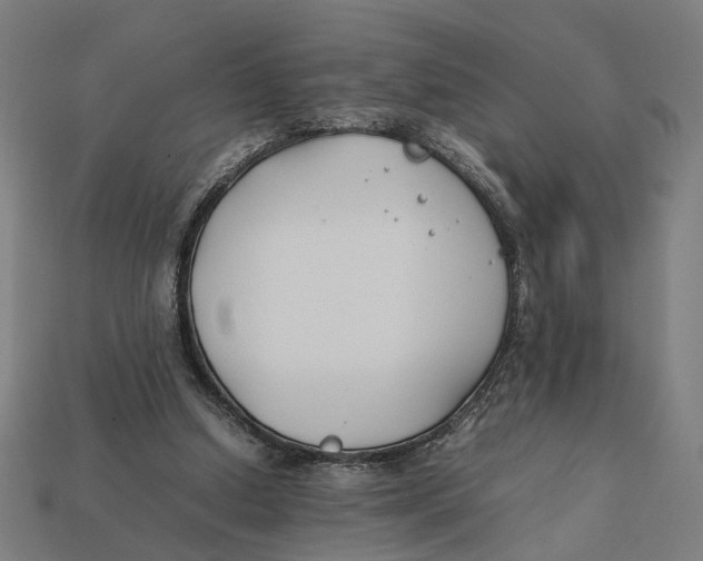 X0000112410250200909110956