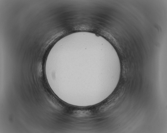 X0000112410251200909110956
