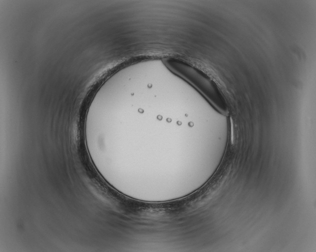 X0000112410252200909110956