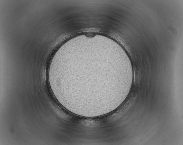 X0000112410253200909110956