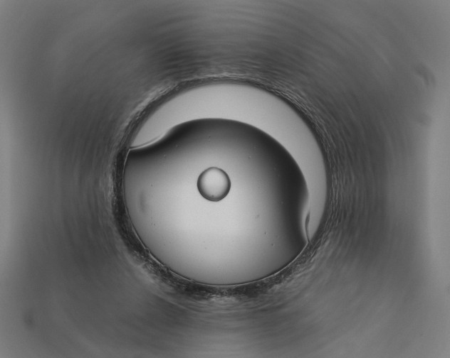 X0000112410256200909110956