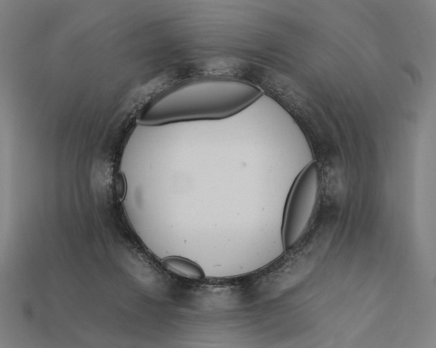 X0000112410260200909110956