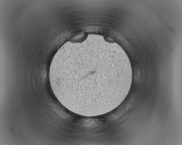 X0000112410261200909110956