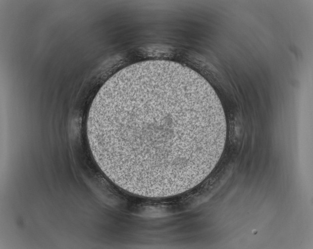 X0000112410263200909110956