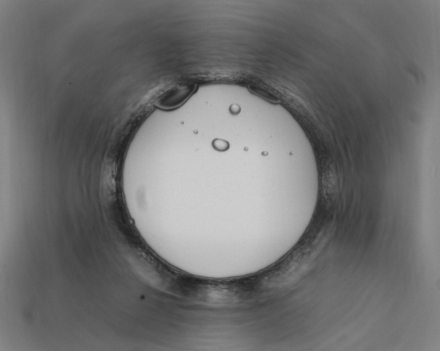 X0000112410264200909110956