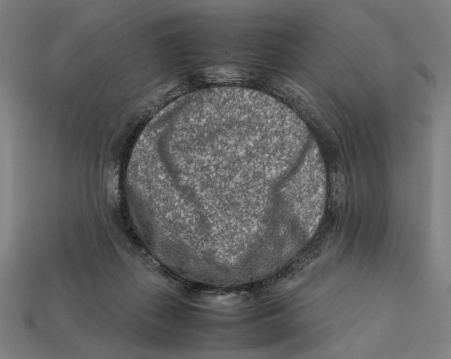 X0000112410267200909110956