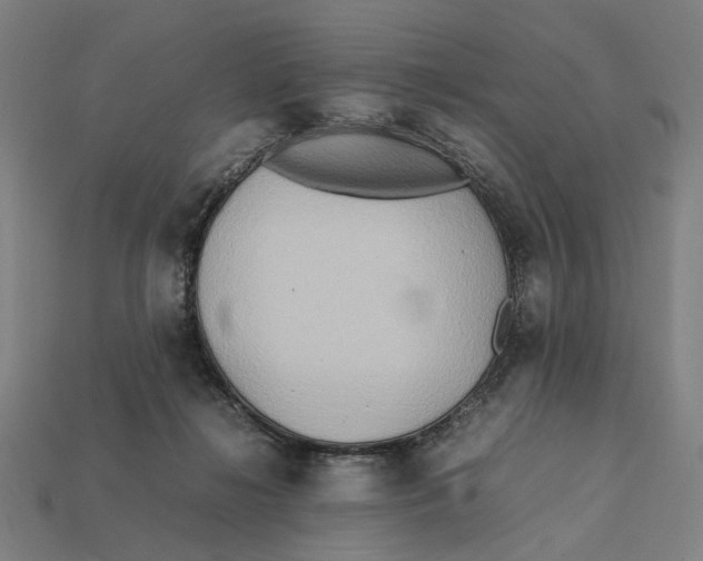 X0000112410268200909110956