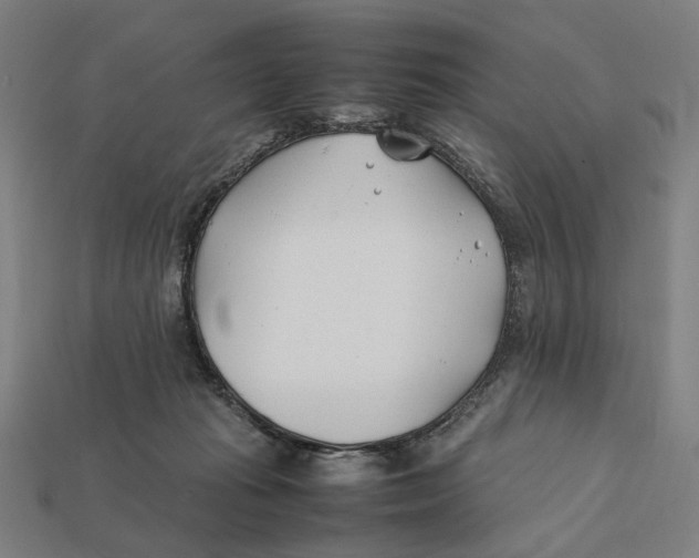 X0000112410269200909110956