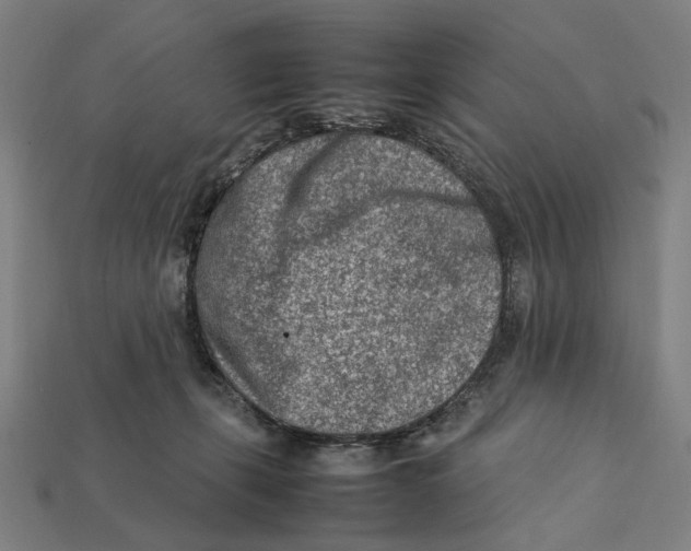 X0000112410271200909110956