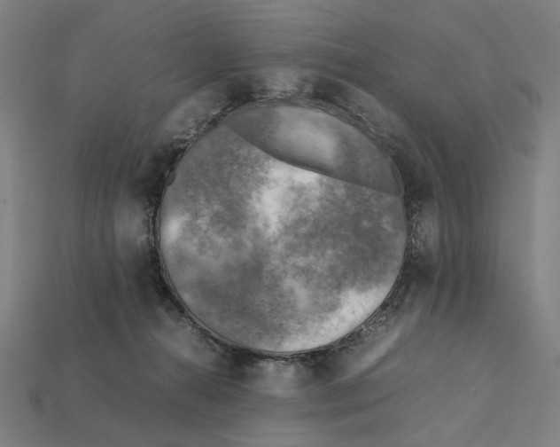 X0000112410272200909110956