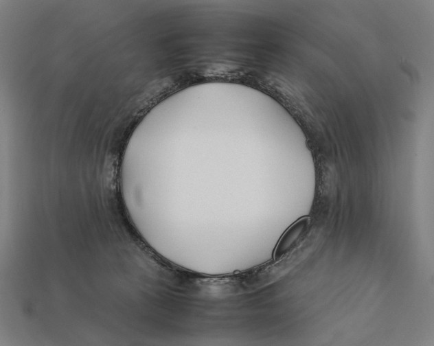 X0000112410273200909110956