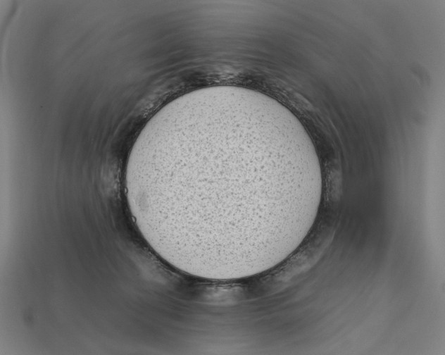 X0000112410274200909110956