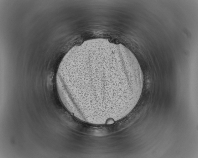 X0000112410275200909110956