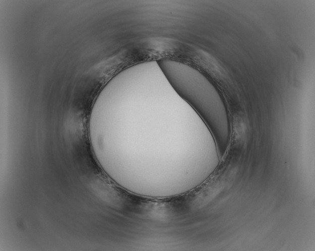 X0000112410276200909110956