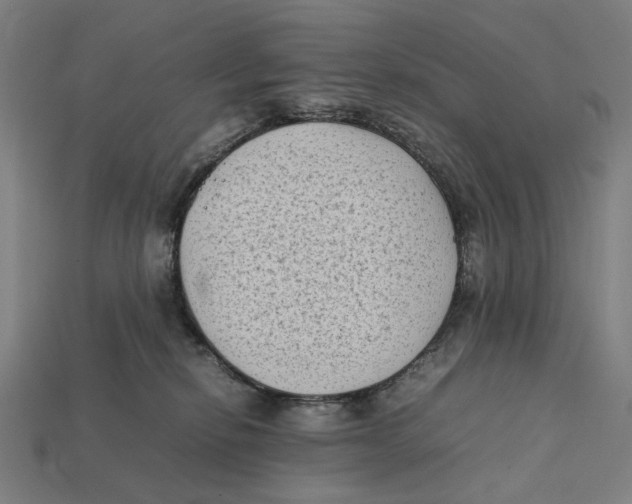 X0000112410278200909110956