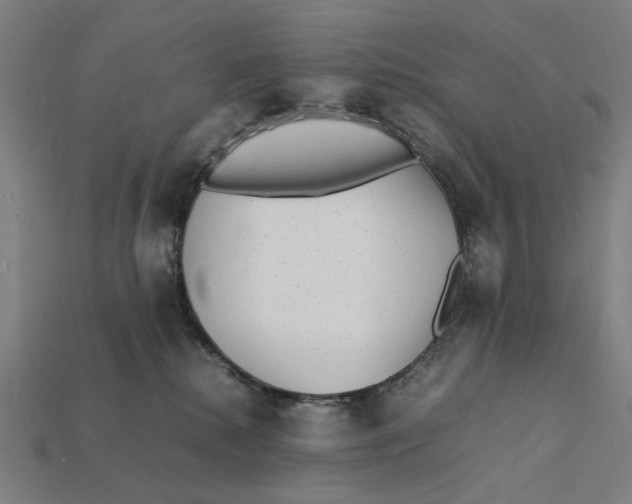 X0000112410280200909110956