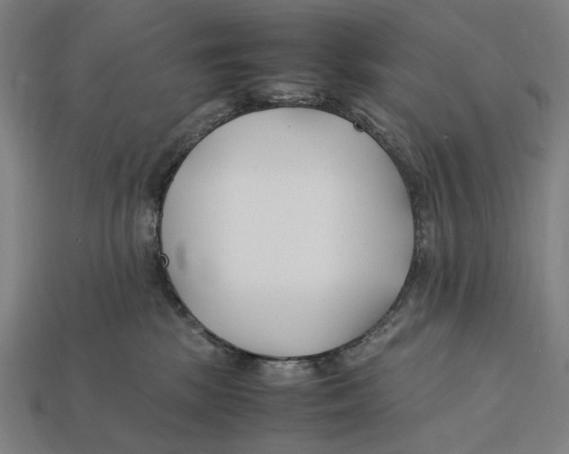 X0000112410281200909110956