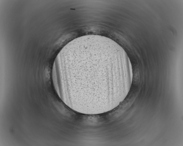 X0000112410282200909110956