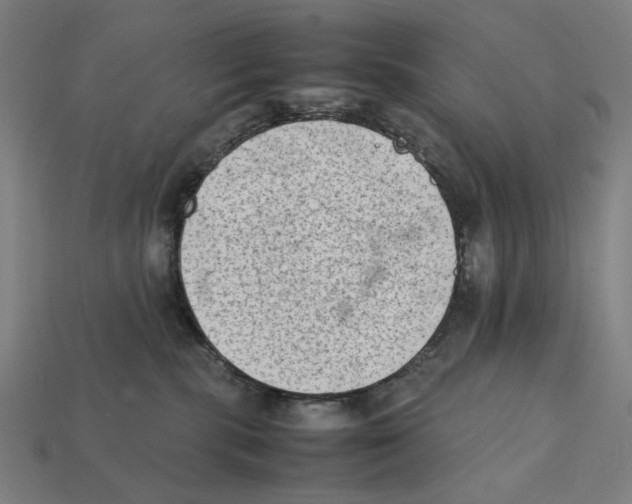 X0000112410283200909110956