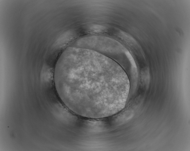 X0000112410284200909110956