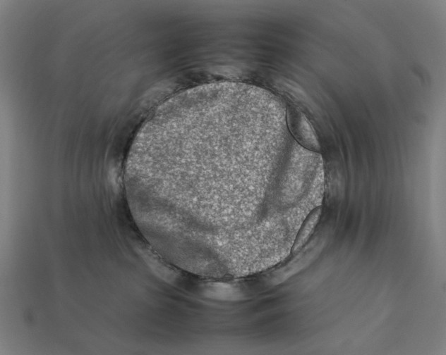 X0000112410285200909110956