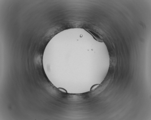 X0000112410286200909110956