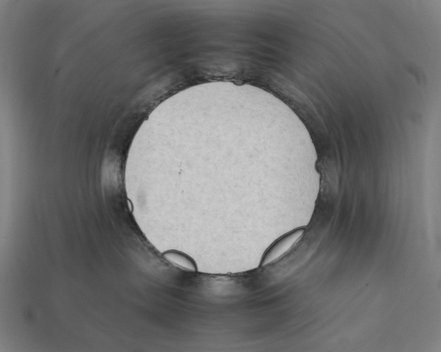 X0000112410287200909110956