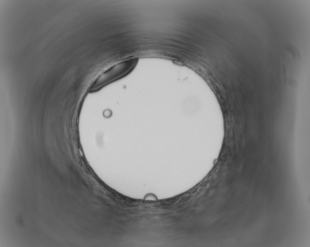 X0000112410289200909110955