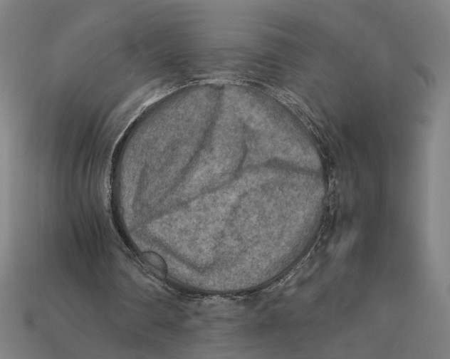 X0000112410290200909110955