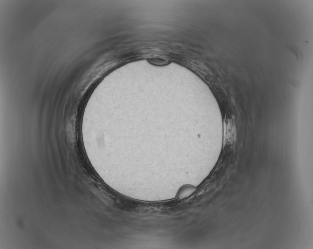X0000112410291200909110955