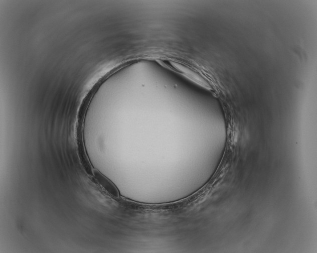 X0000112410292200909110955