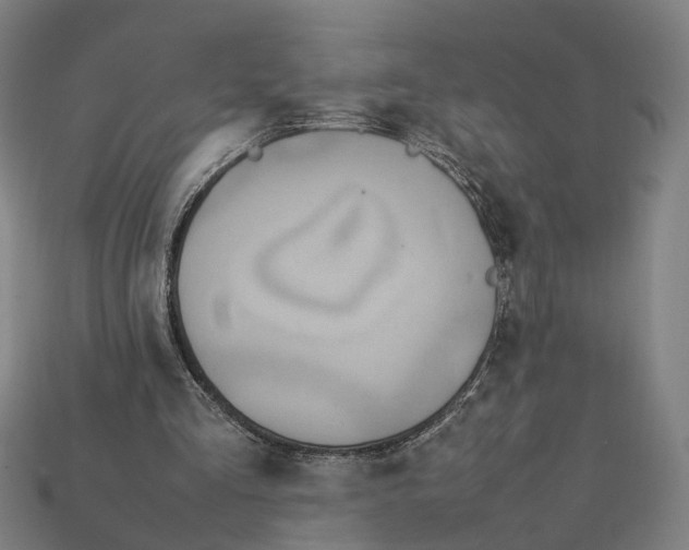 X0000112410293200909110955