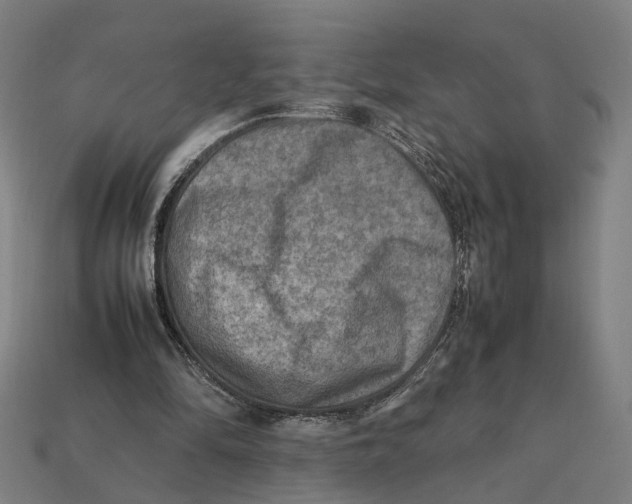 X0000112410294200909110955