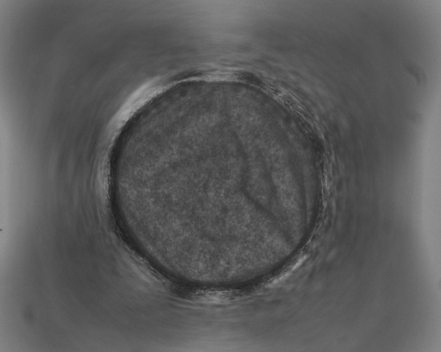 X0000112410295200909110955