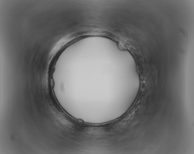 X0000112410296200909110955