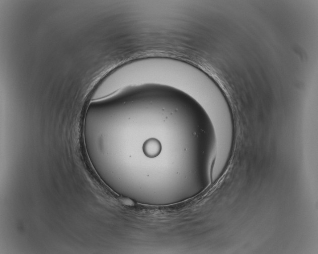 X0000112410297200909110955
