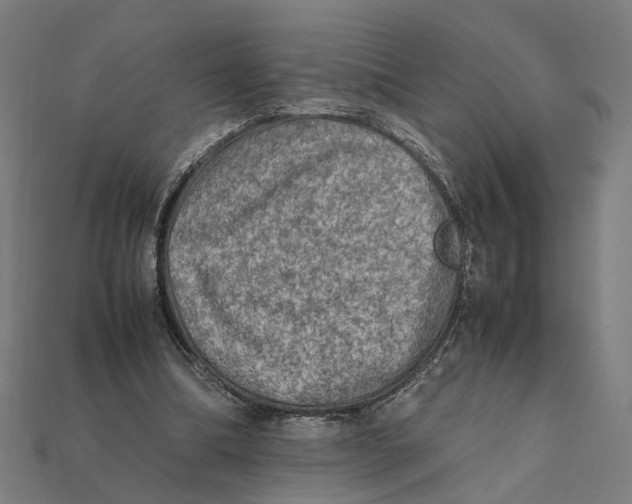 X0000112410298200909110955