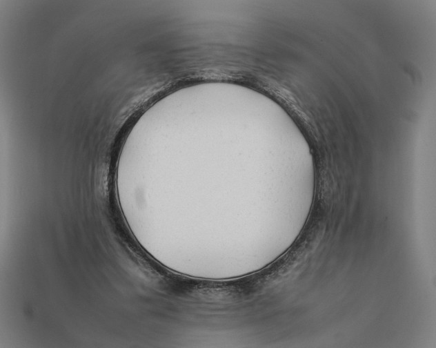 X0000112410299200909110955