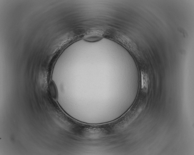 X0000112410300200909110955