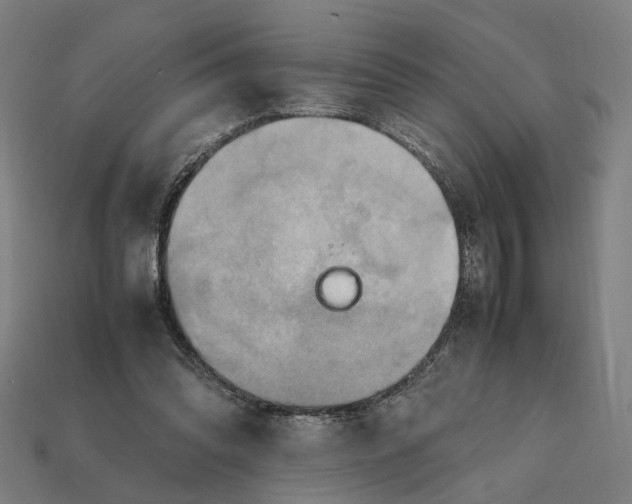 X0000112410302200909110955
