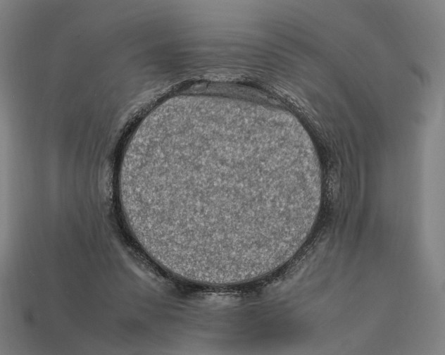 X0000112410303200909110955