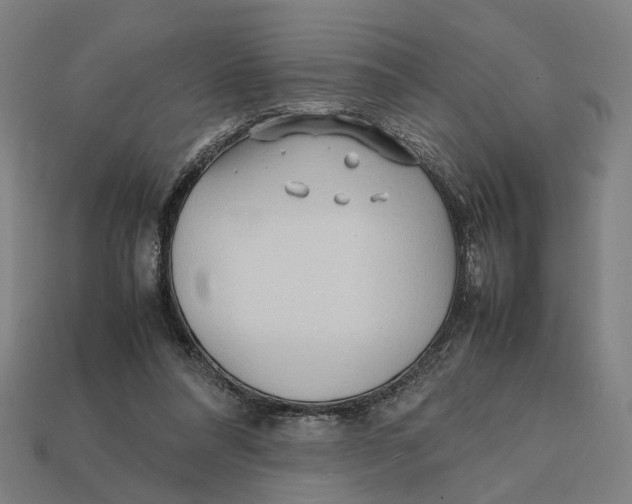 X0000112410304200909110955