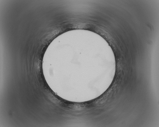 X0000112410305200909110955